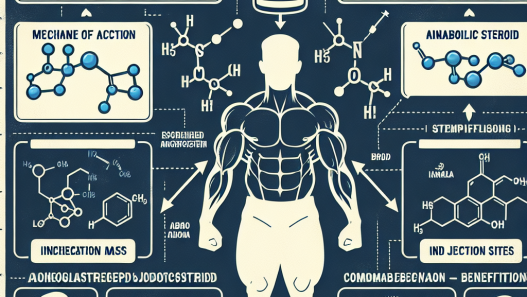 Mechanisms of action and benefits of oxymetholone injection in sports