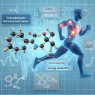 The impact of gonadotropin on energy metabolism during exercise