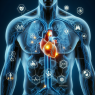 Cardiovascular risks associated with acetato di metenolone