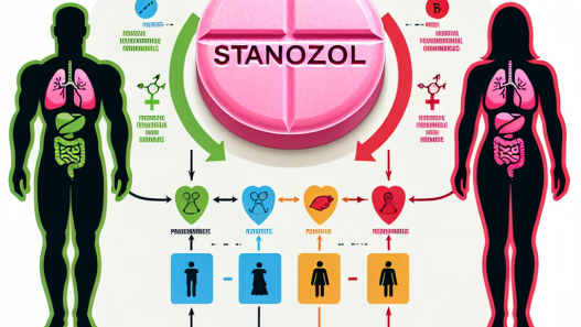 Gender differences in response to stanozololo compresse