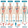 Time to recovery of hpta after sintol